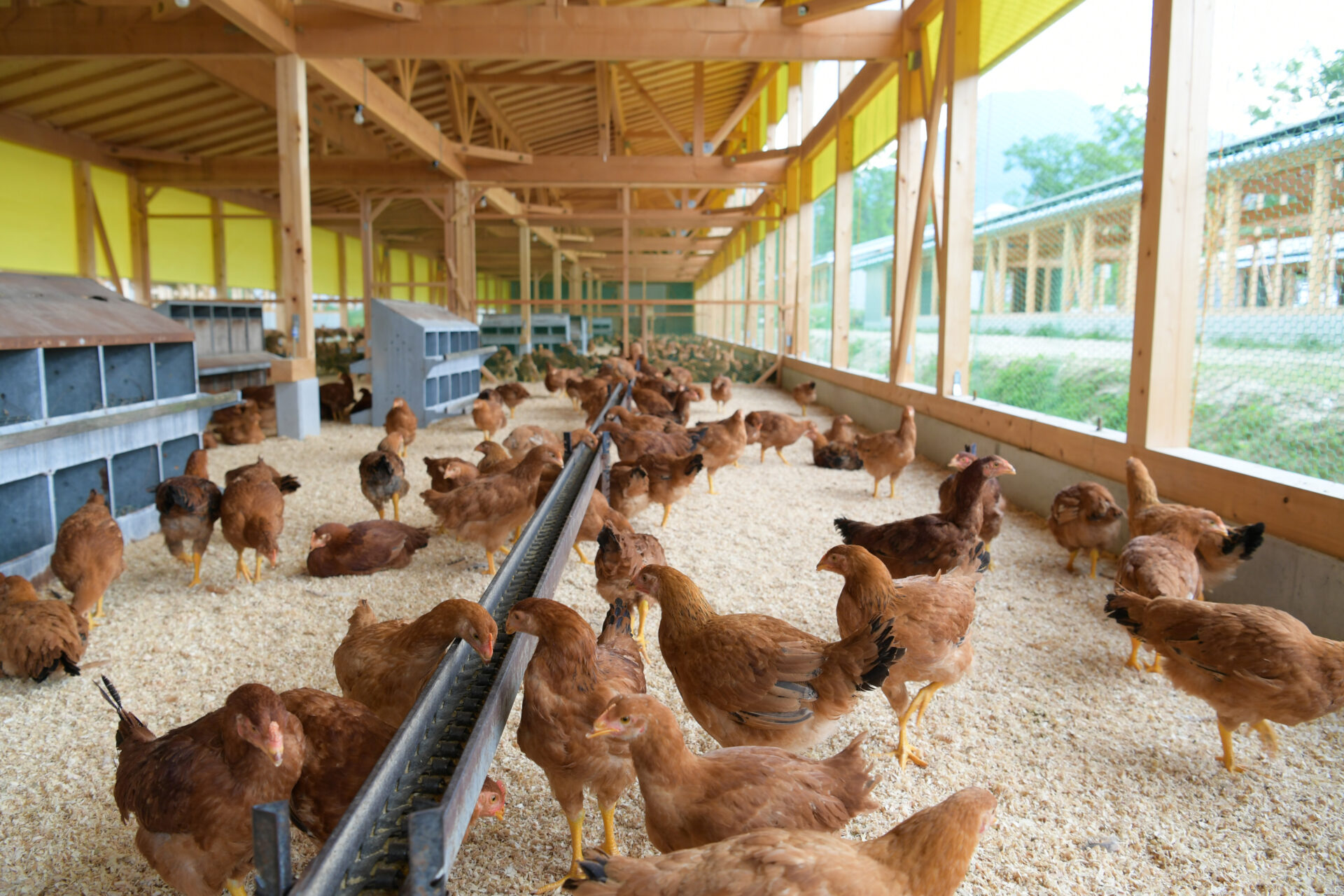 安曇野市（鶏舎）2,118kW